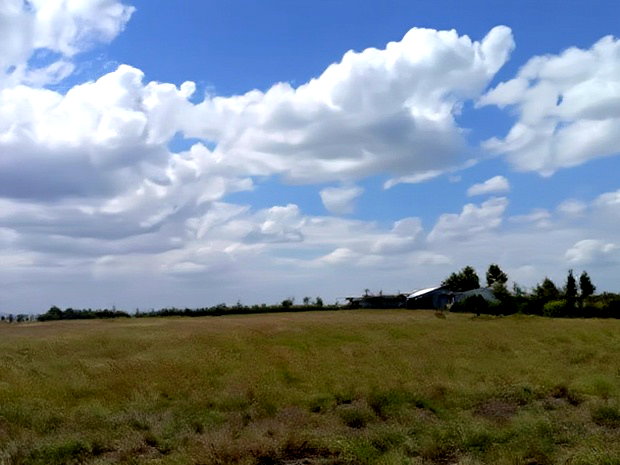 Prime Plots for Sale in Kitengela Near Kca University