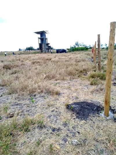 Prime Plots for Sale in Kitengela Near Kca University