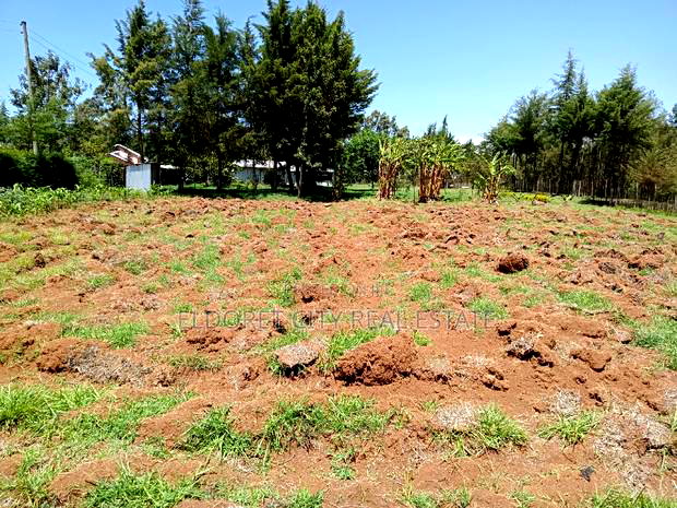 2.5 Acres Kapseret St George S With Title