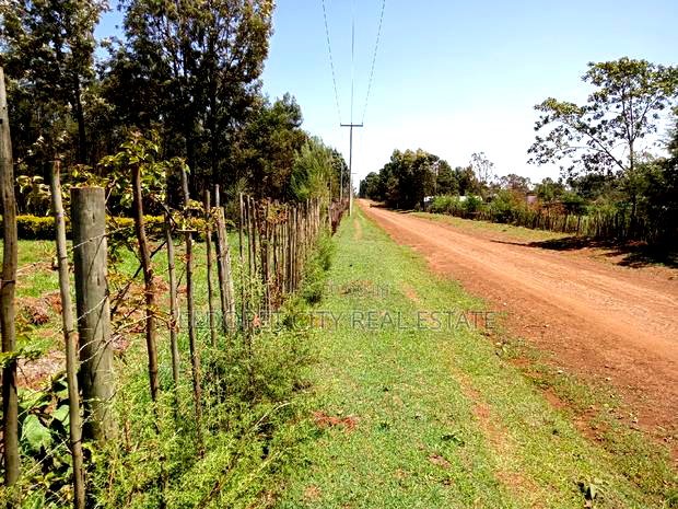 2.5 Acres Kapseret St George S With Title