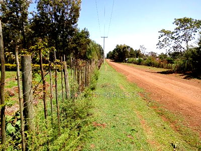 2.5 Acres Kapseret St George S With Title - Image 2