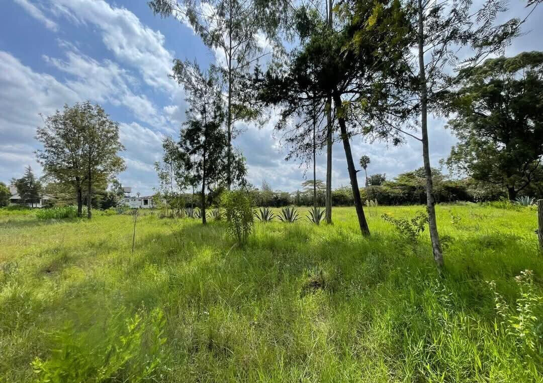 7BR Garden Estate on 50x100 Plot