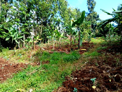 Prime Redsoil Quarter Acre Plot in Kahara, Ngong - Image 3