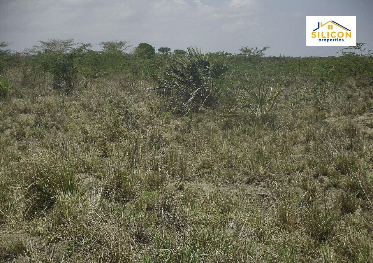 30-Acre Kwale Gem at KSh 550K