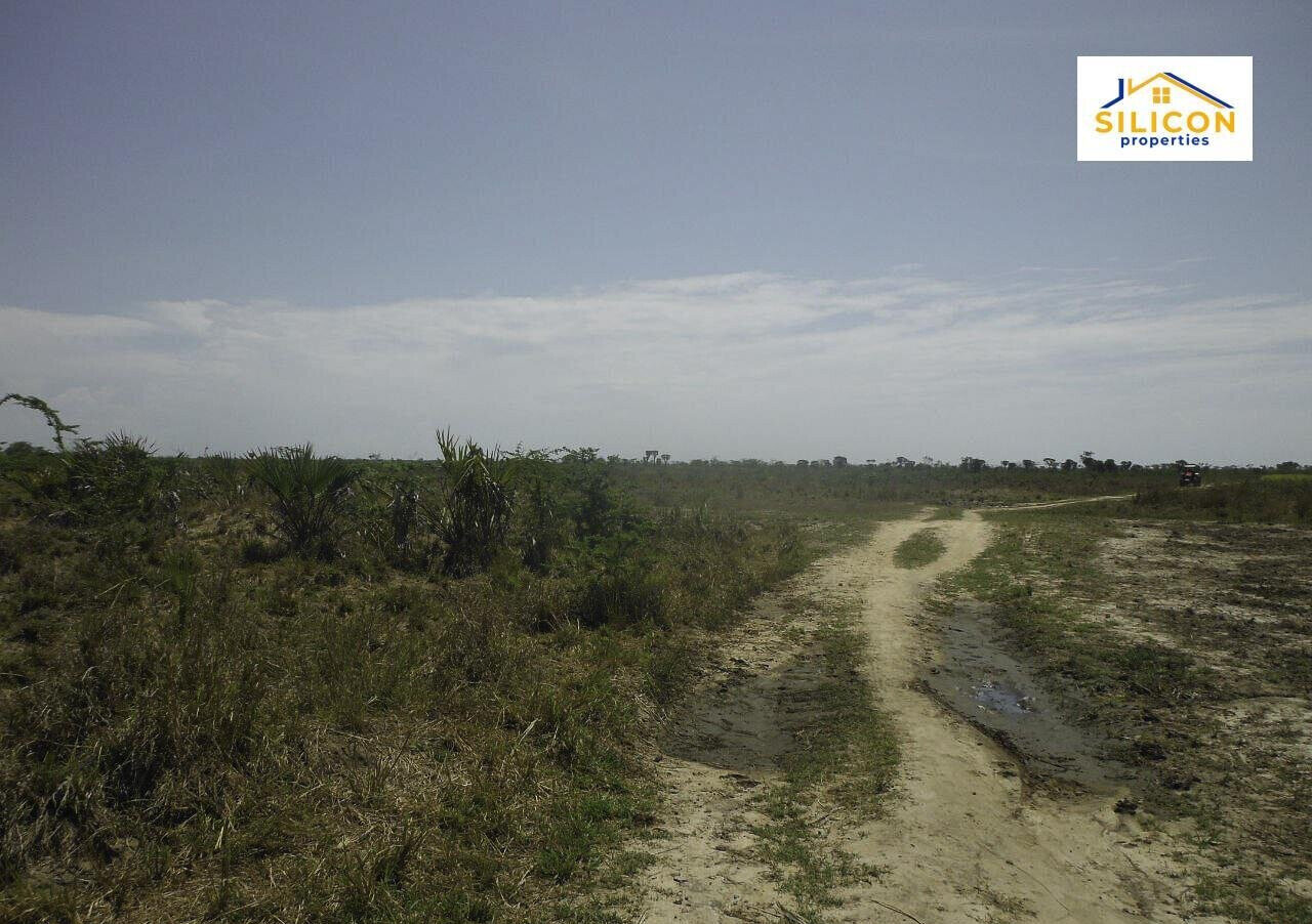 30-Acre Kwale Gem at KSh 550K