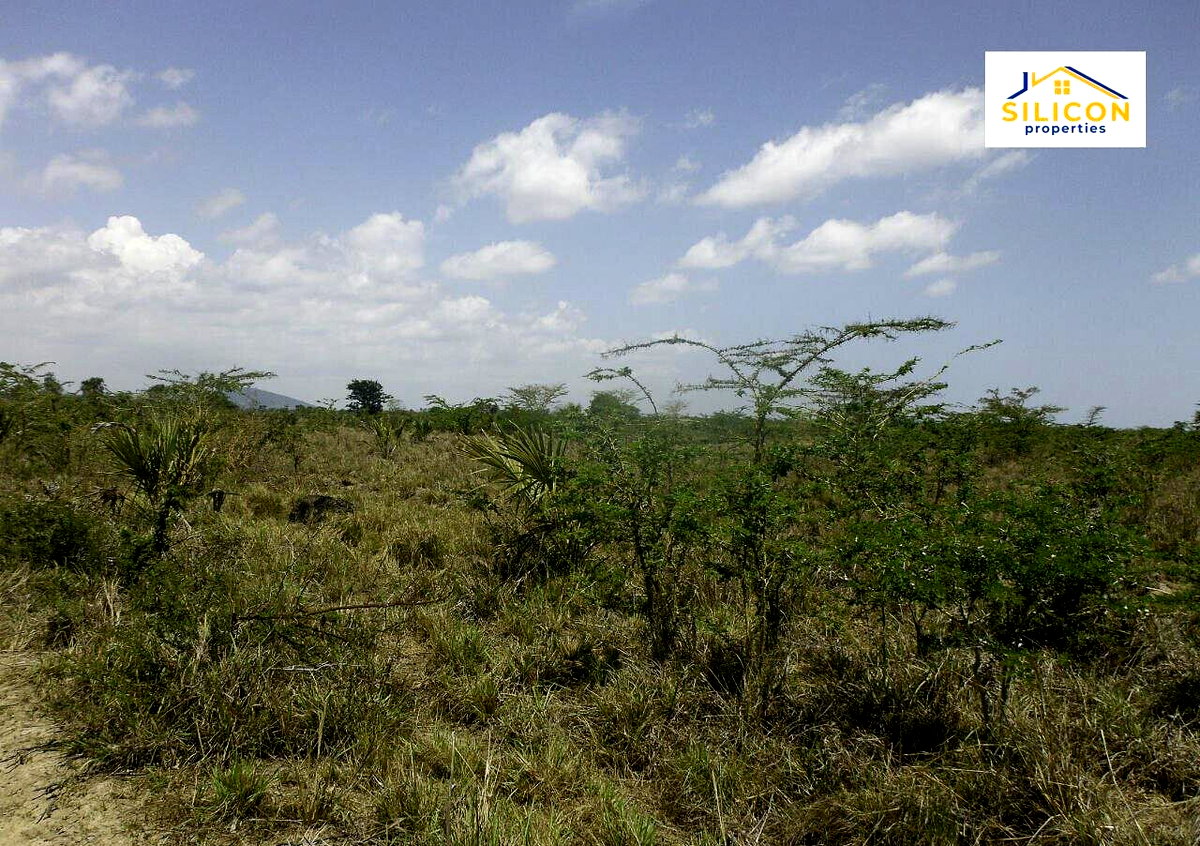 30-Acre Kwale Gem at KSh 550K