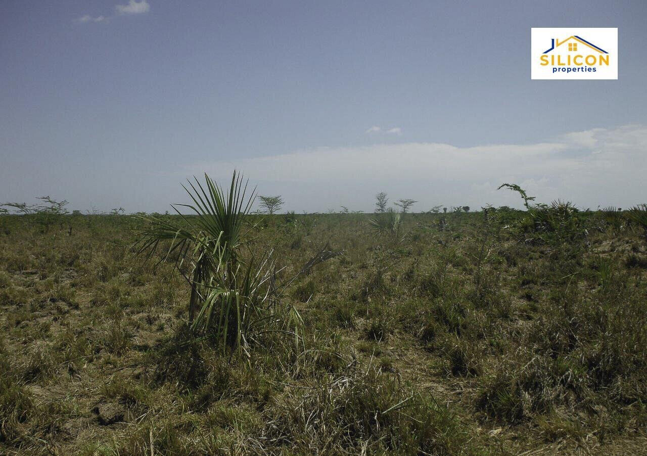 30-Acre Kwale Gem at KSh 550K