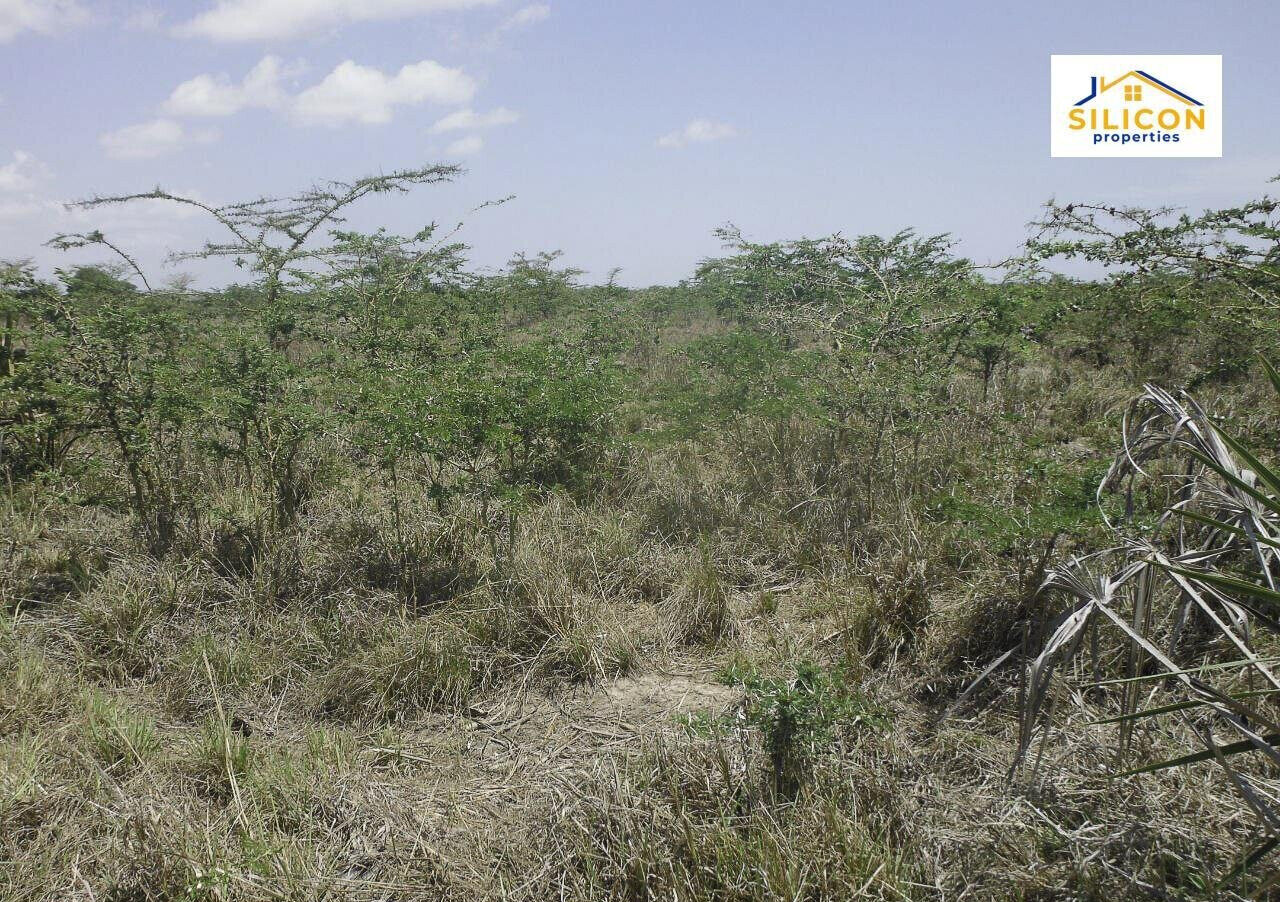 30-Acre Kwale Gem at KSh 550K