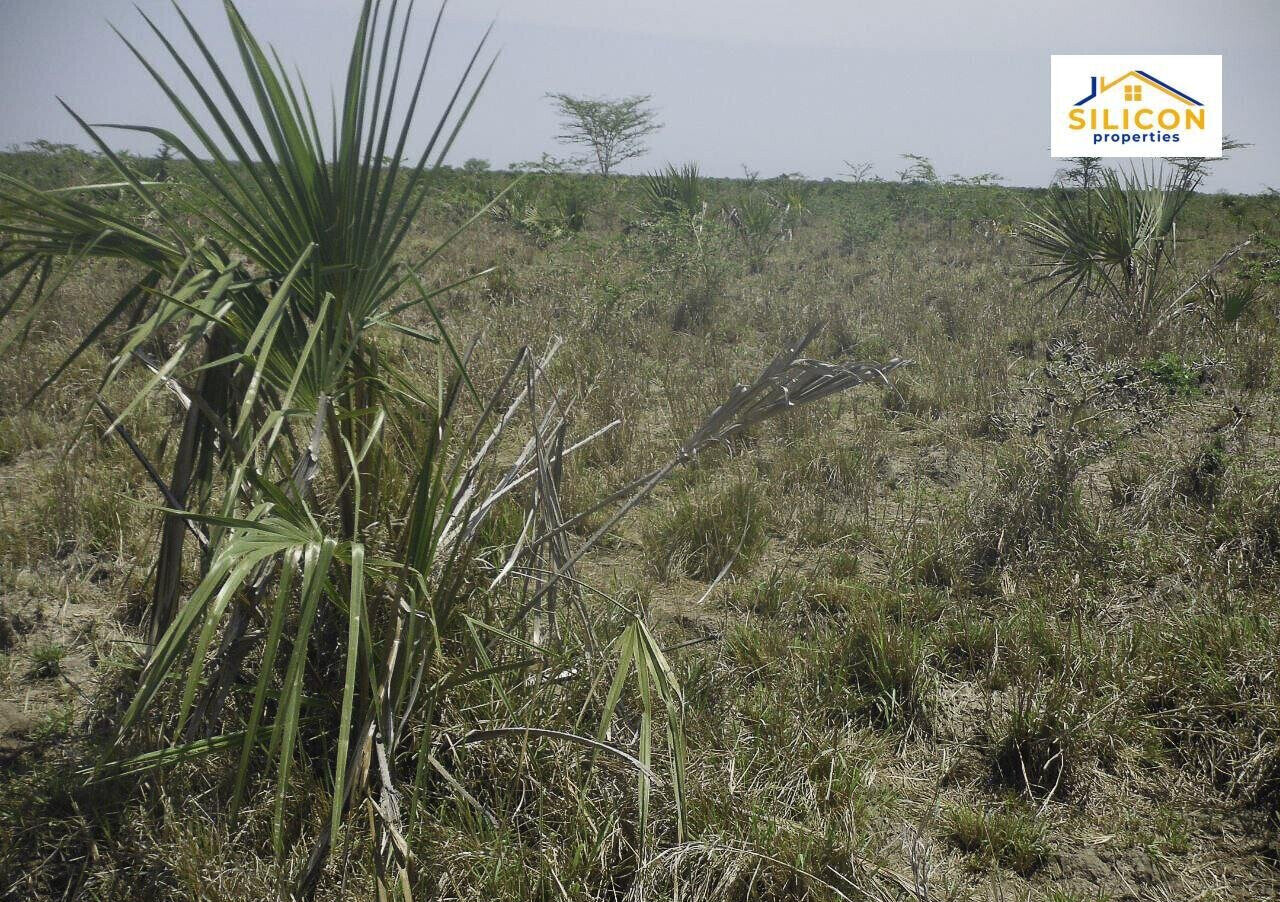 30-Acre Kwale Gem at KSh 550K