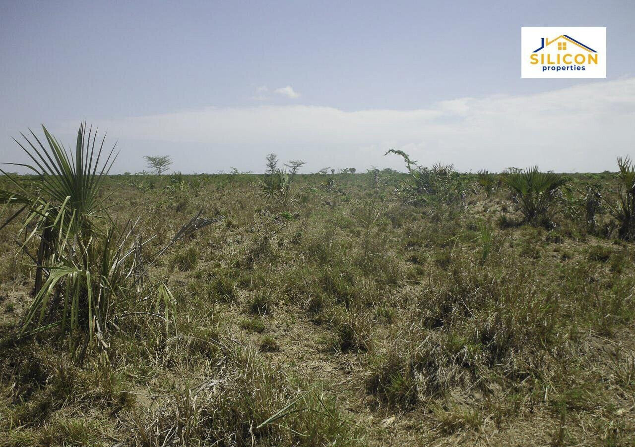 30-Acre Kwale Gem at KSh 550K