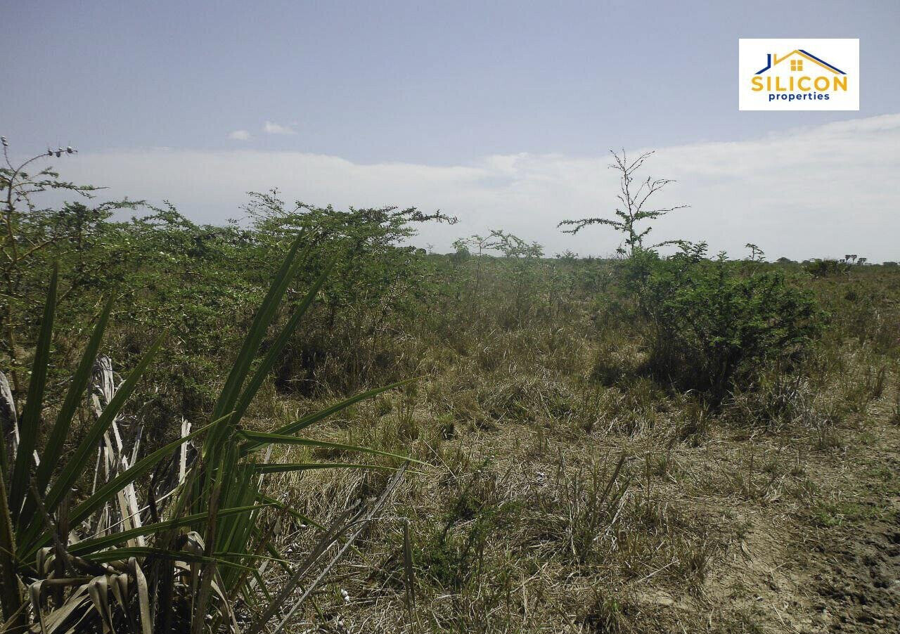 30-Acre Kwale Gem at KSh 550K