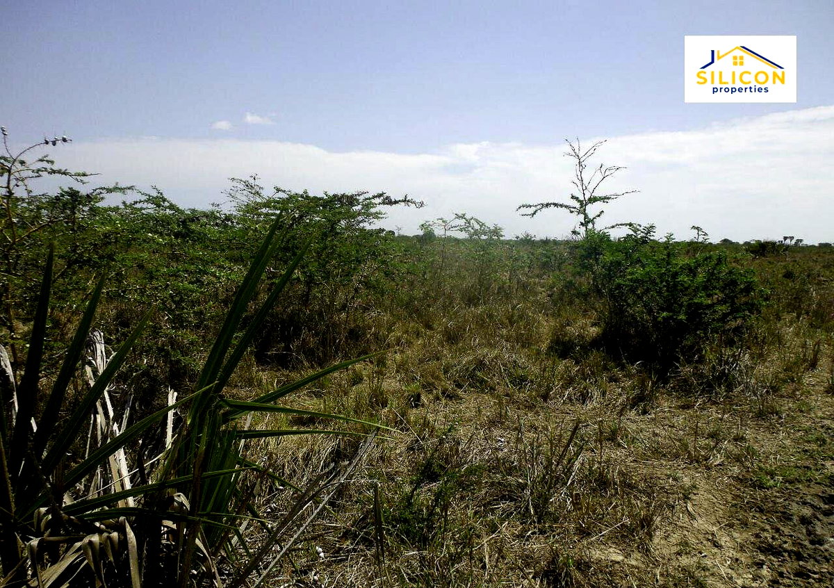 30-Acre Kwale Gem at KSh 550K