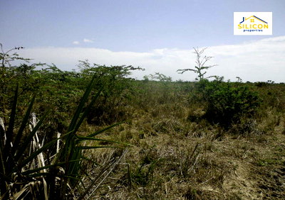 30-Acre Kwale Gem at KSh 550K