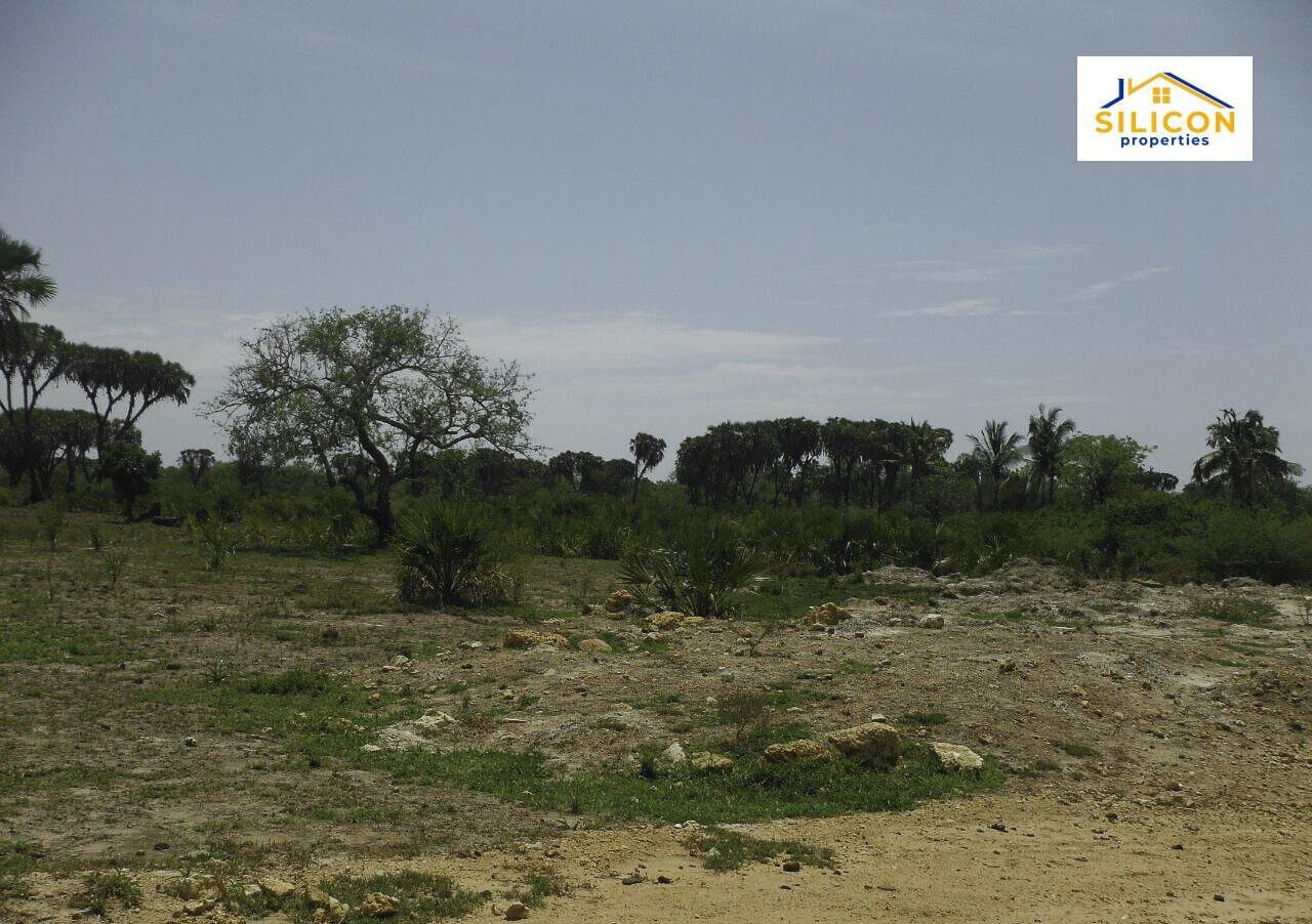 30-Acre Kwale Gem at KSh 550K