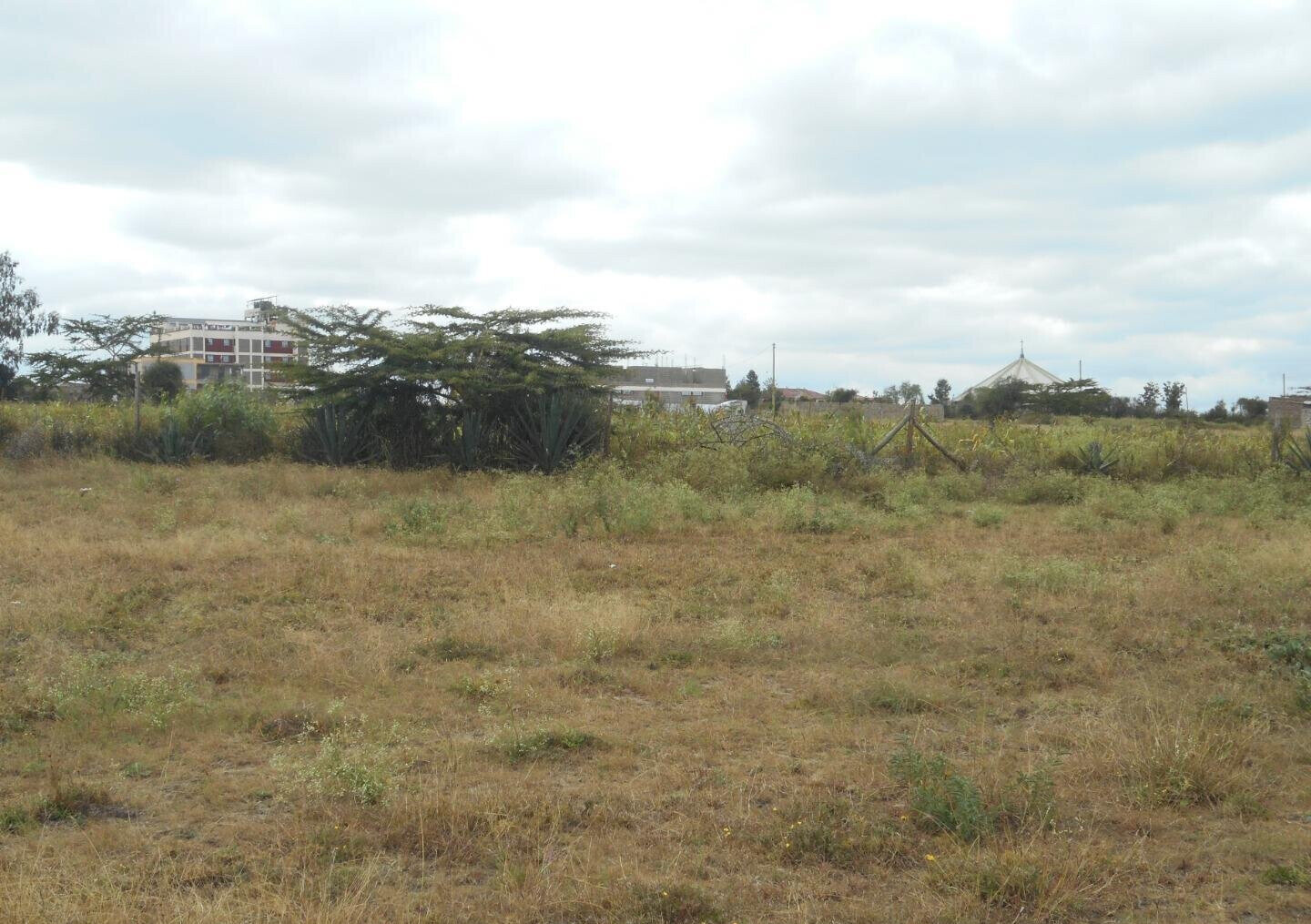 Quarter Acre Plot with Garden in Kyumbi