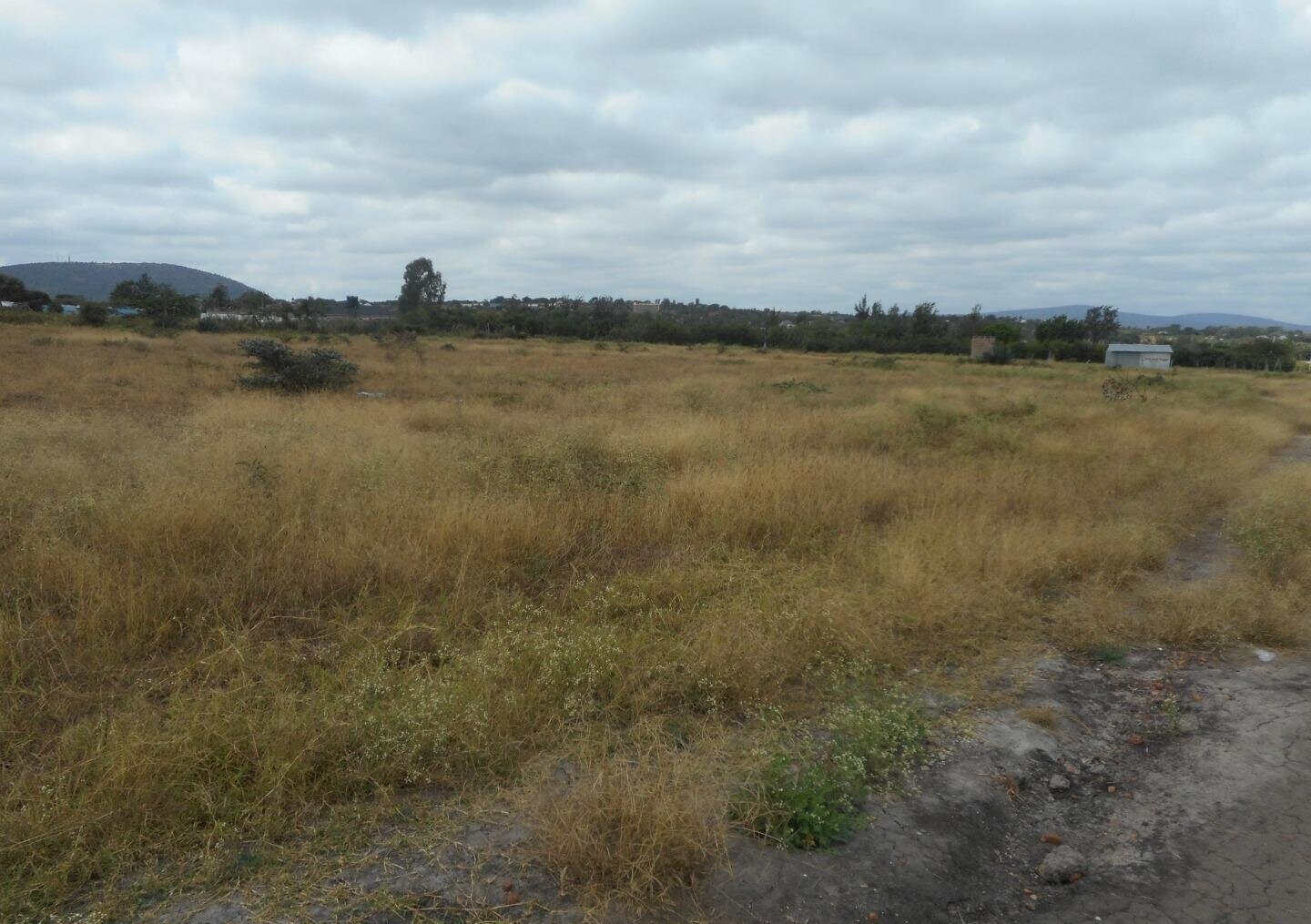 Quarter Acre Plot with Garden in Kyumbi