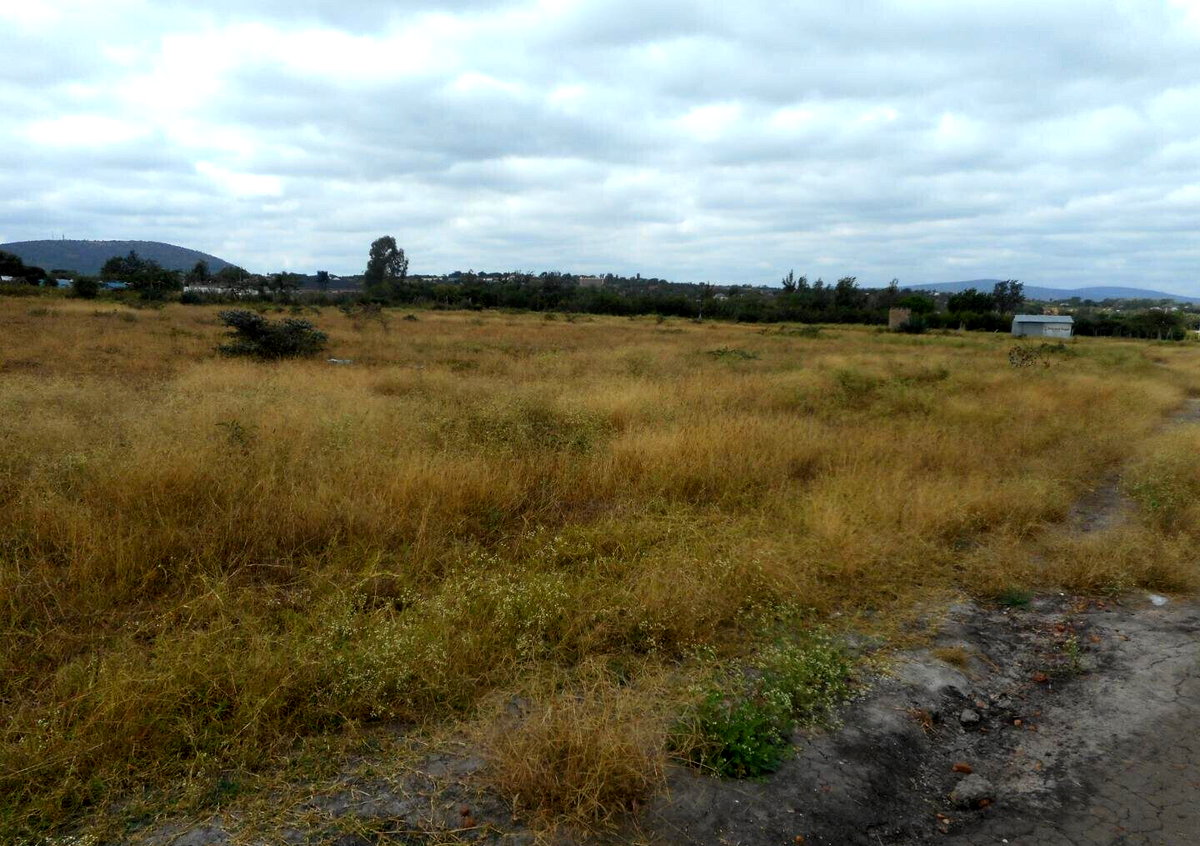 Quarter Acre Plot with Garden in Kyumbi
