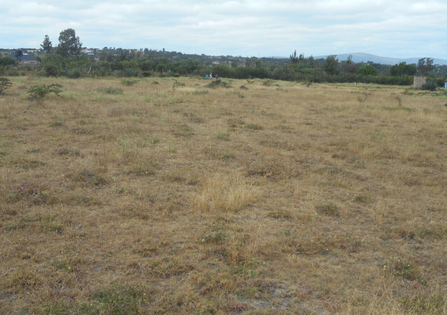 Quarter Acre Plot with Garden in Kyumbi