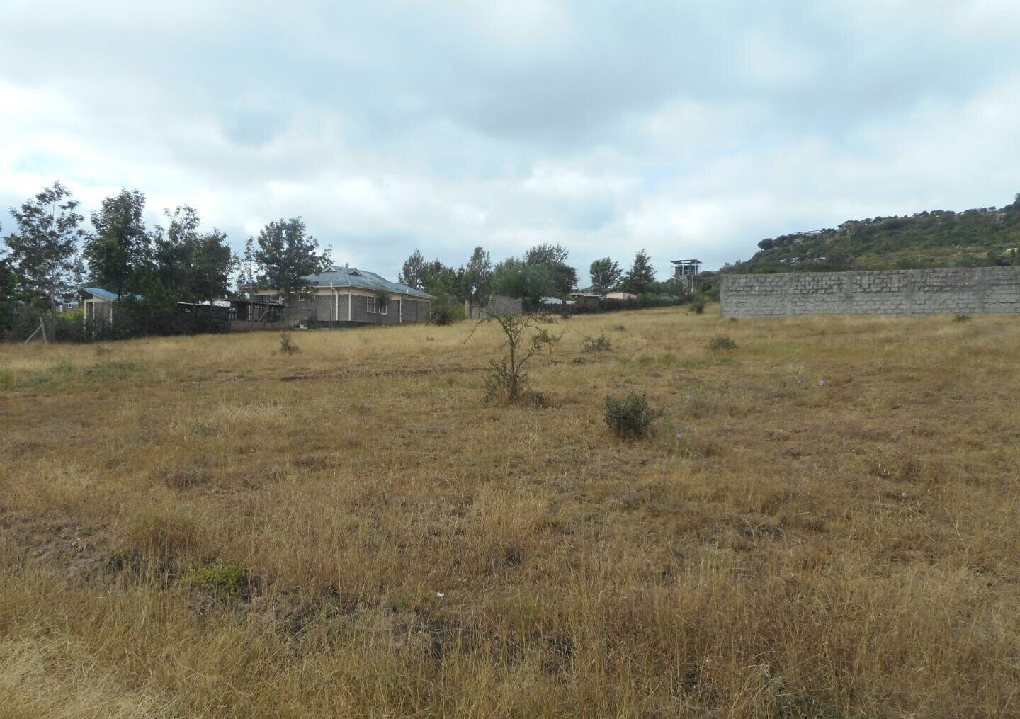 Quarter Acre Plot with Garden in Kyumbi