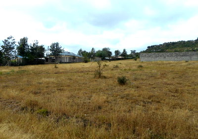 Quarter Acre Plot with Garden in Kyumbi