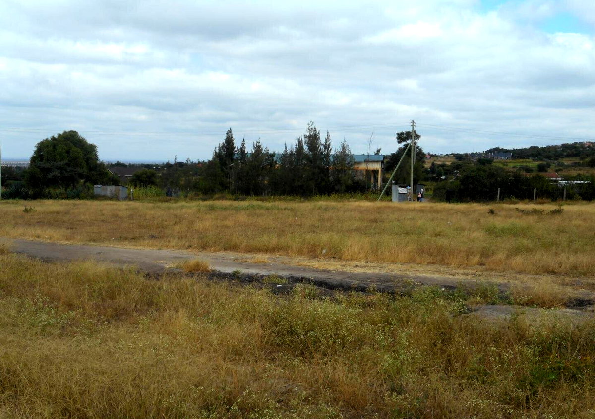 Quarter Acre Plot with Garden in Kyumbi