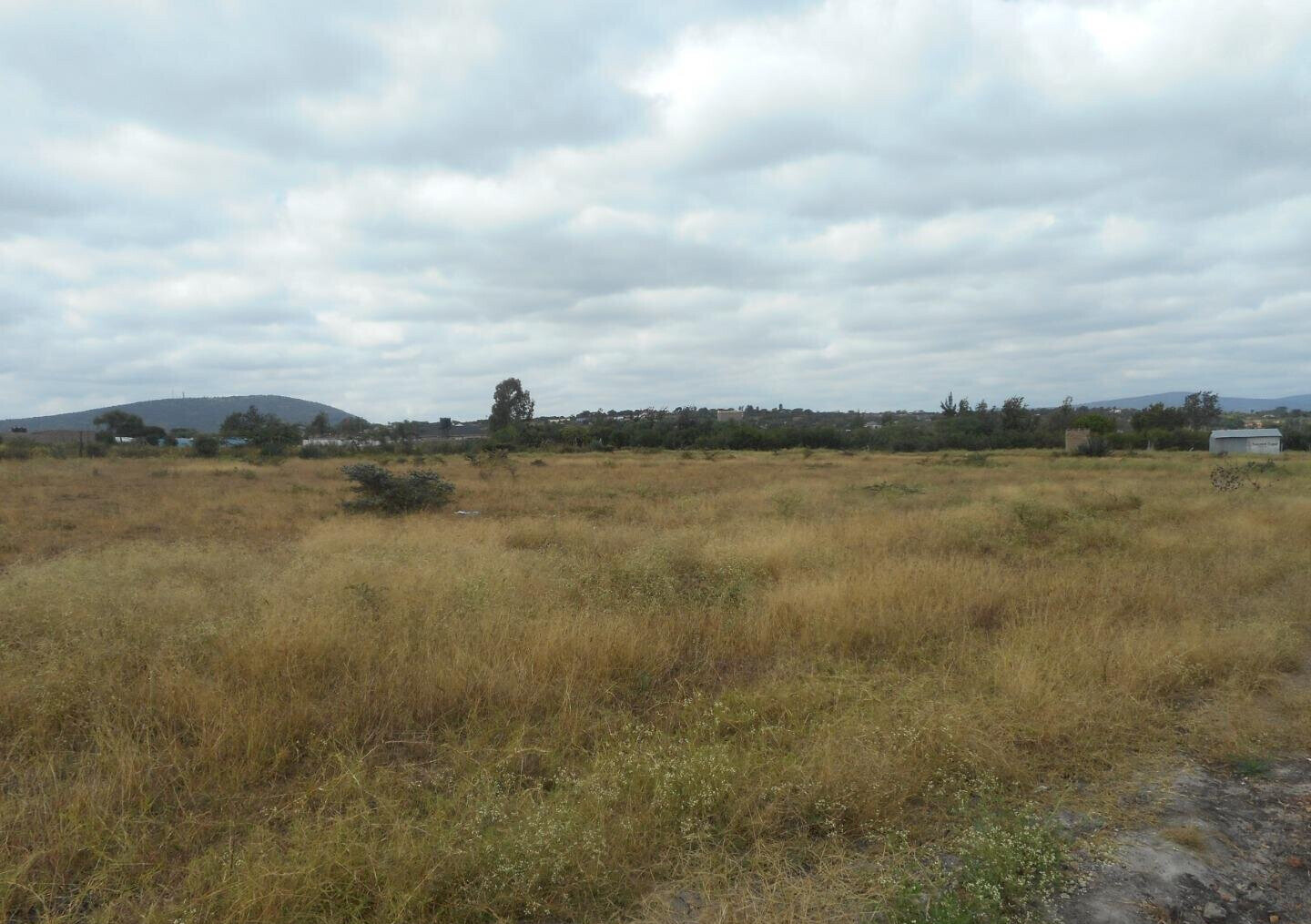 Quarter Acre Plot with Garden in Kyumbi