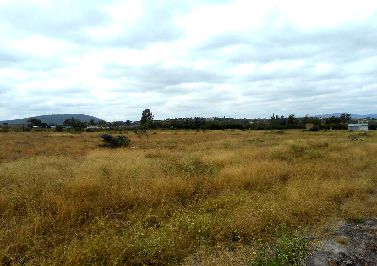 Quarter Acre Plot with Garden in Kyumbi