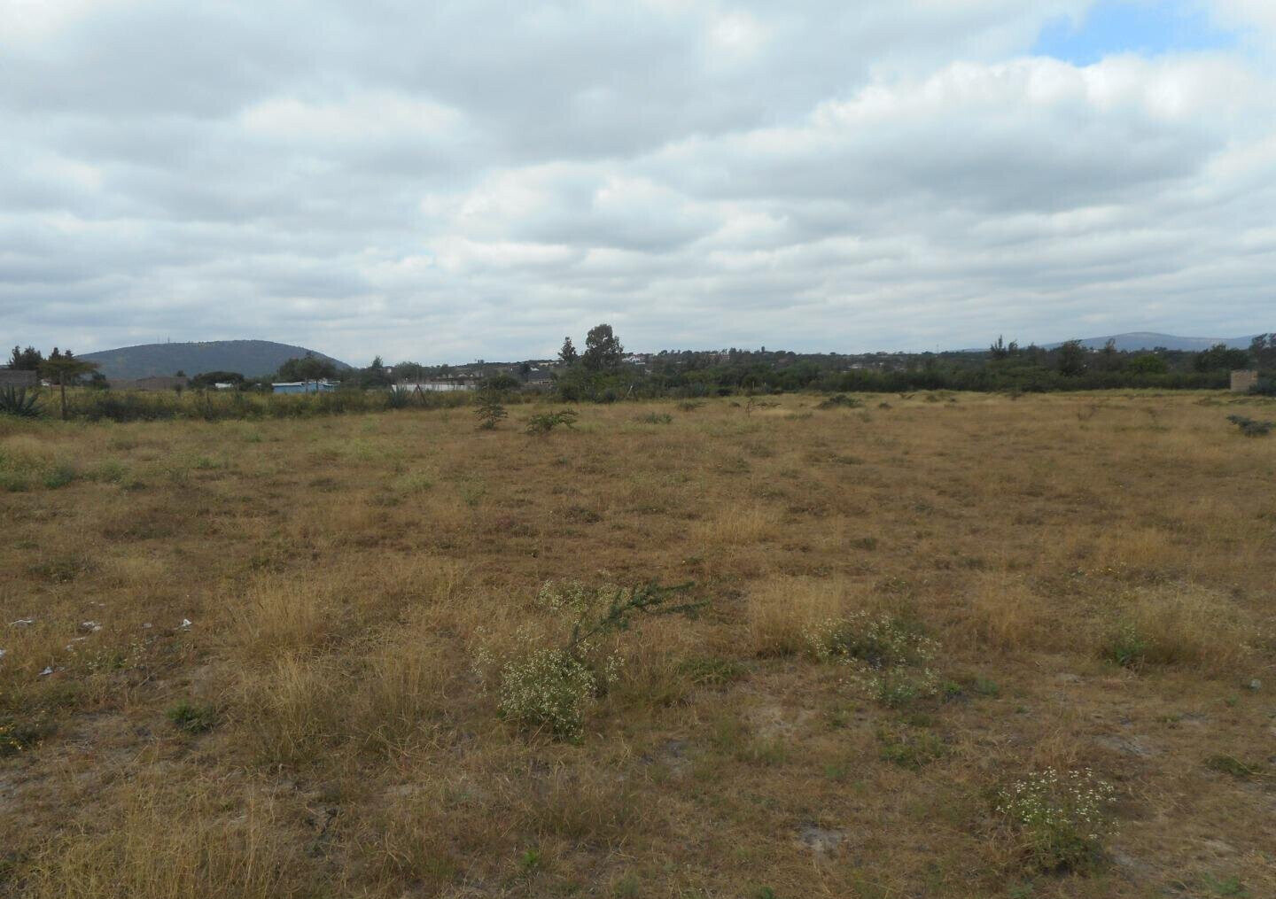 Quarter Acre Plot with Garden in Kyumbi
