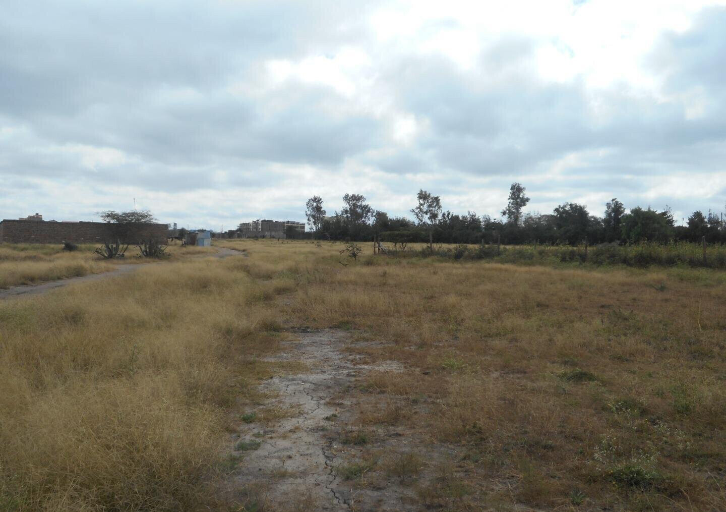 Quarter Acre Plot with Garden in Kyumbi