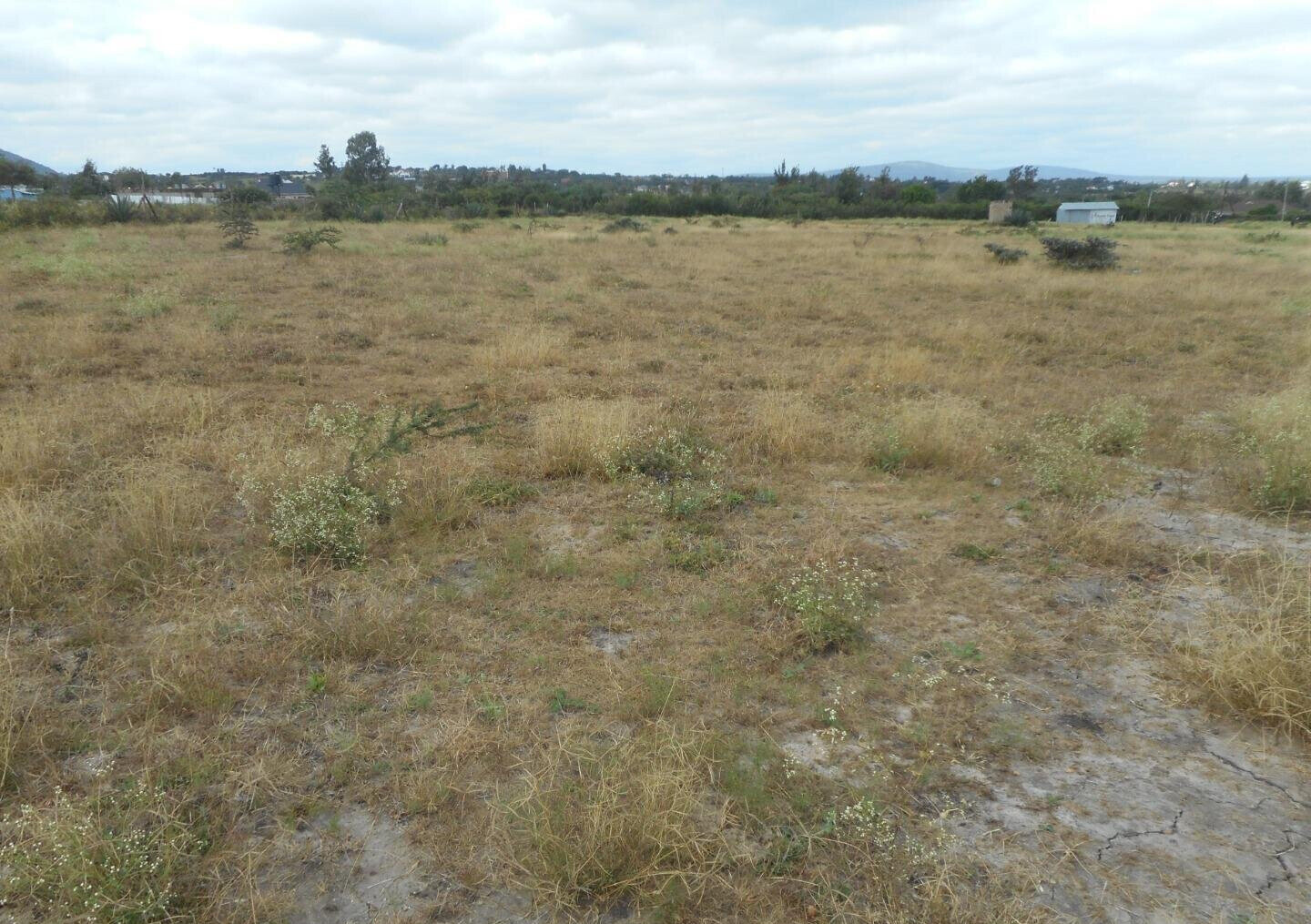 Quarter Acre Plot with Garden in Kyumbi