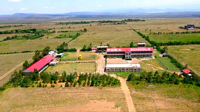 Perfect Piece of Property in Naivasha , 50 by 100, - Image 2