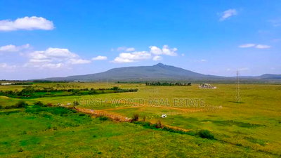 Perfect Piece of Property in Naivasha , 50 by 100, - Image 3