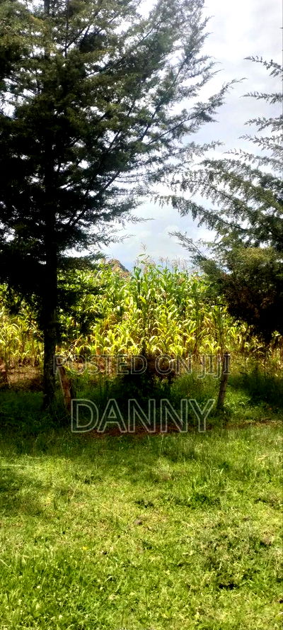 Commercial 1 Acre Touching Tarmac in a Busy Road for Lease - Image 4