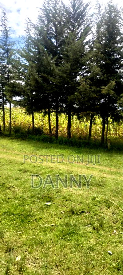 Commercial 1 Acre Touching Tarmac in a Busy Road for Lease - Image 3