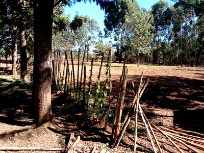 Residential Plots for Sale in Kapsaret Eldoret - Image 2