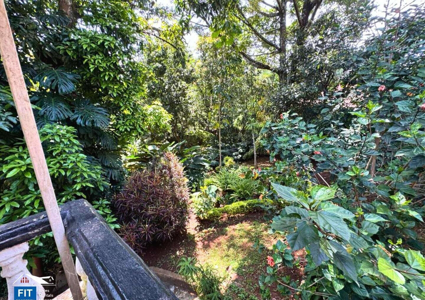 Half Acre Spring Valley Plot for KSh 100M