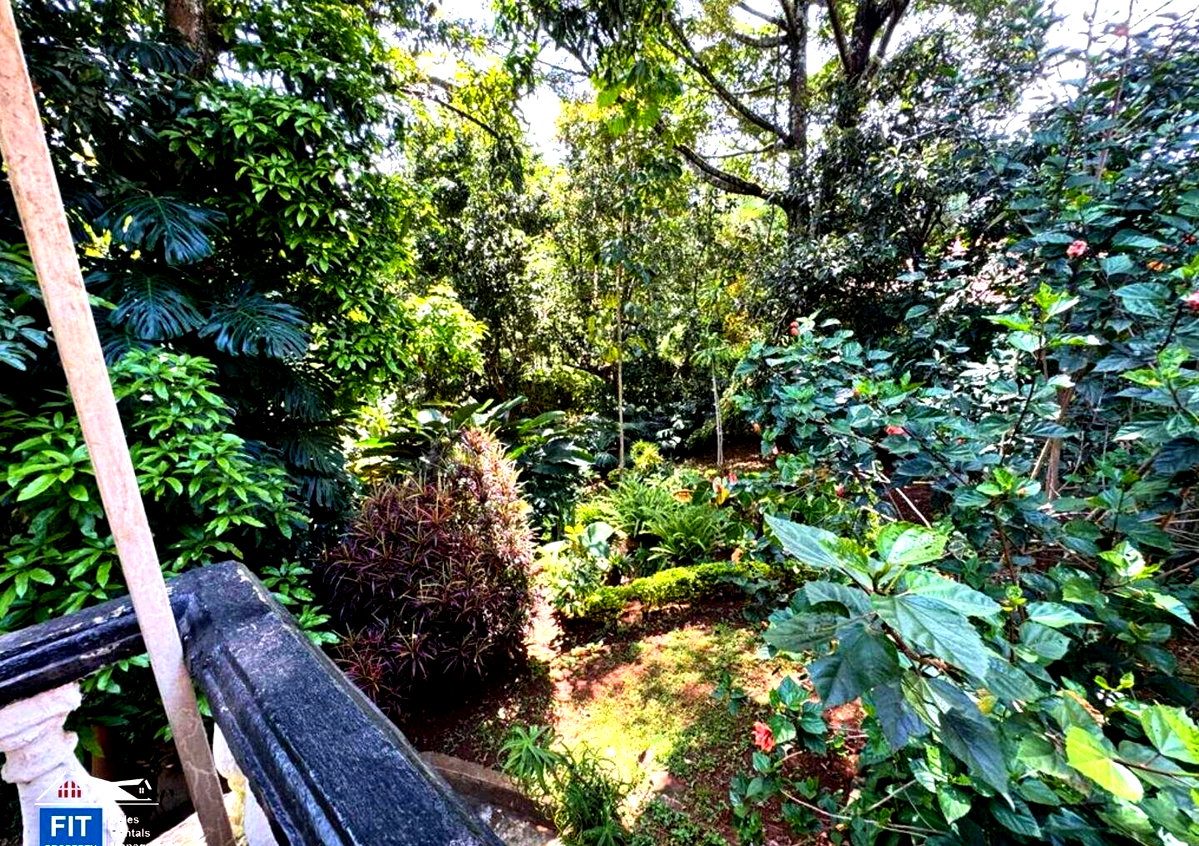 Half Acre Spring Valley Plot for KSh 100M