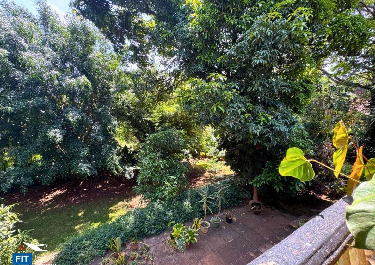 Half Acre Spring Valley Plot for KSh 100M