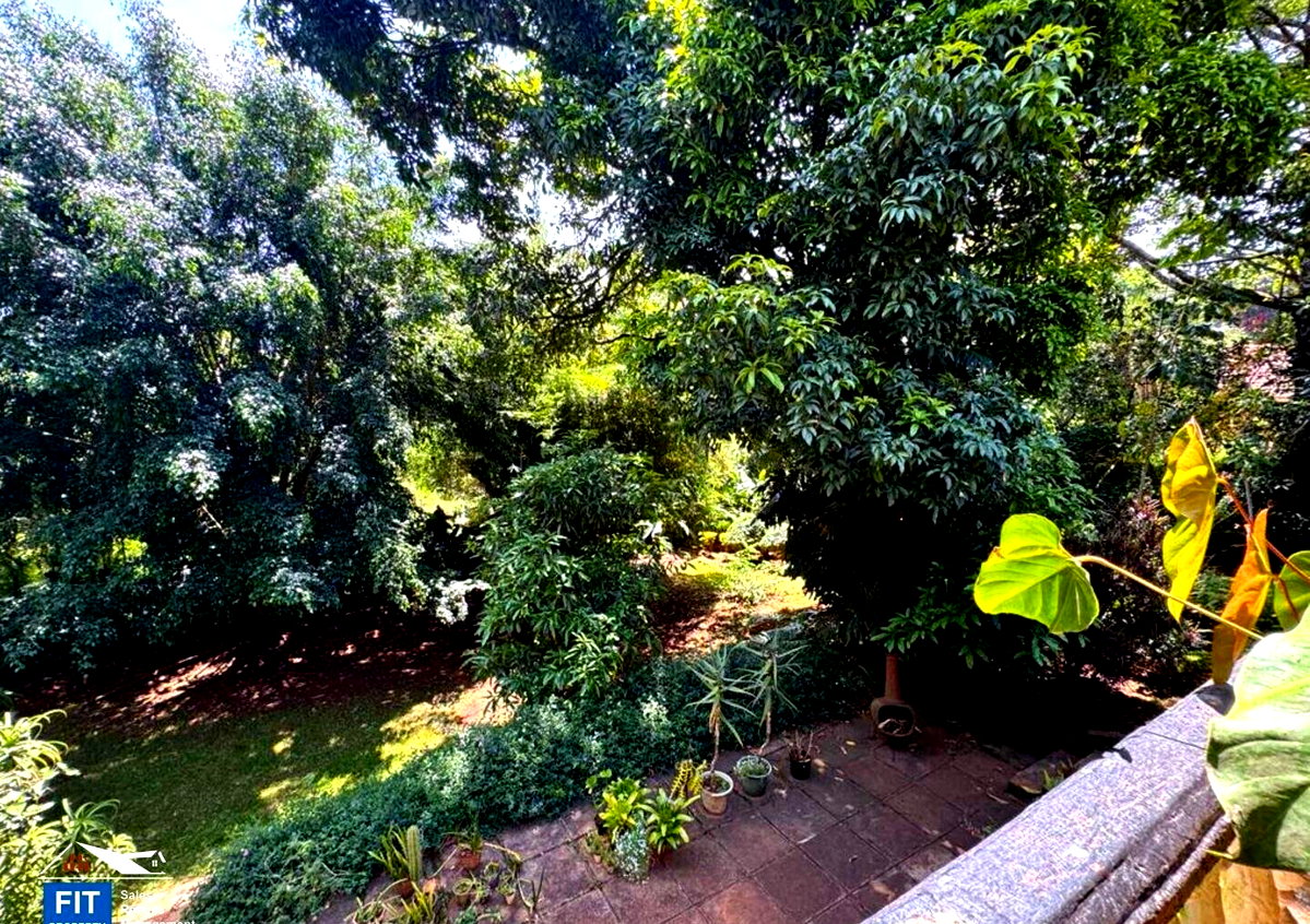 Half Acre Spring Valley Plot for KSh 100M