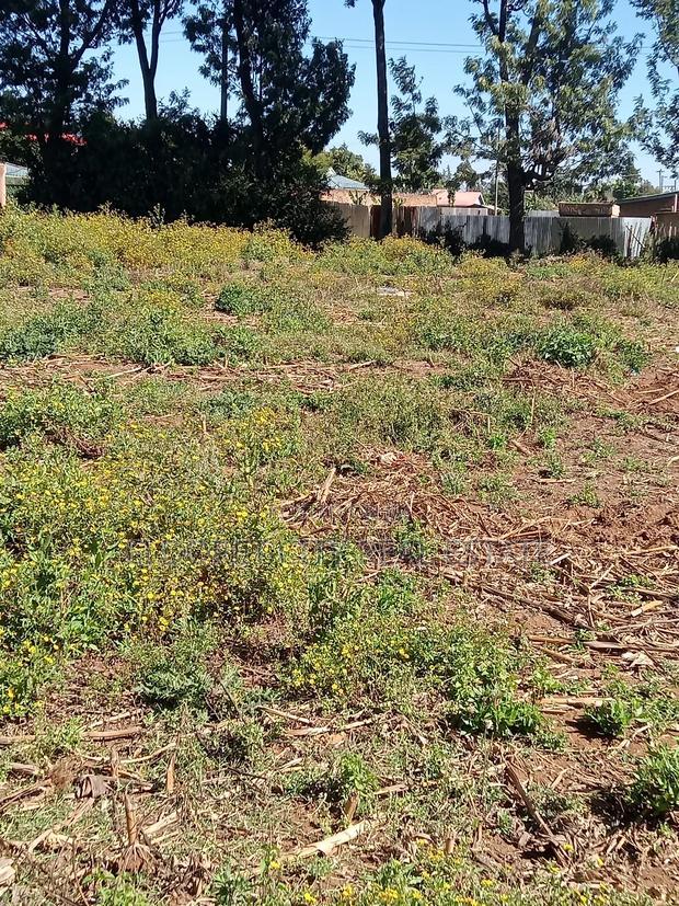 1/4 Plot Kimumu Betterfarm Ideal for Rental