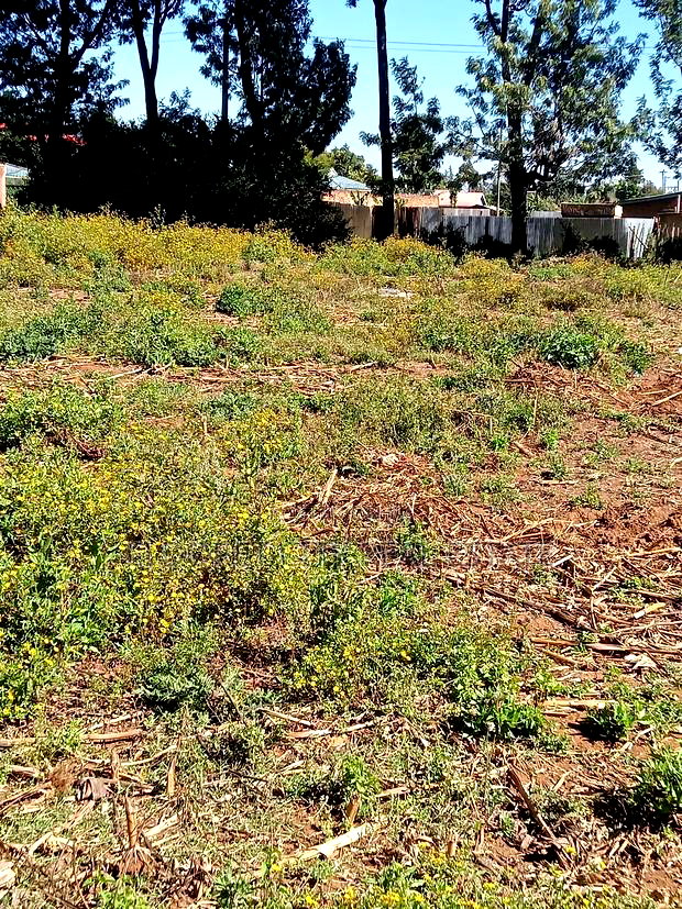 1/4 Plot Kimumu Betterfarm Ideal for Rental