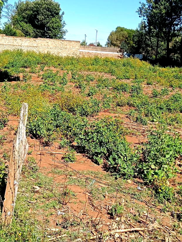 1/4 Plot Kimumu Betterfarm Ideal for Rental
