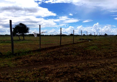 10-Acre Kimana Land for KSh 9.3M