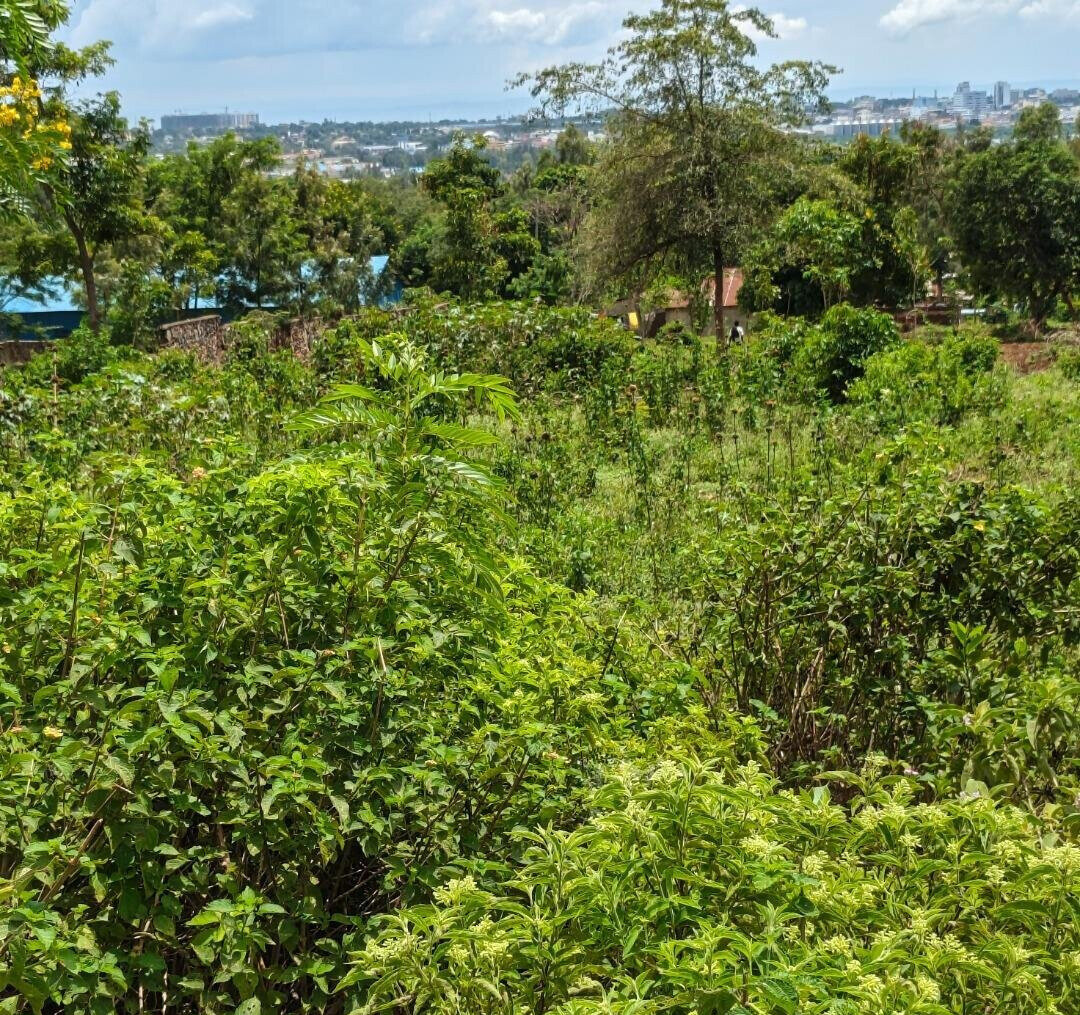 KSh 2.6M Plot in Kisumu West