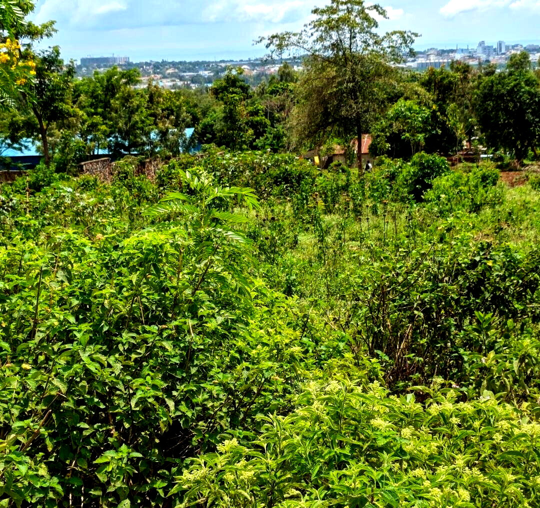 KSh 2.6M Plot in Kisumu West