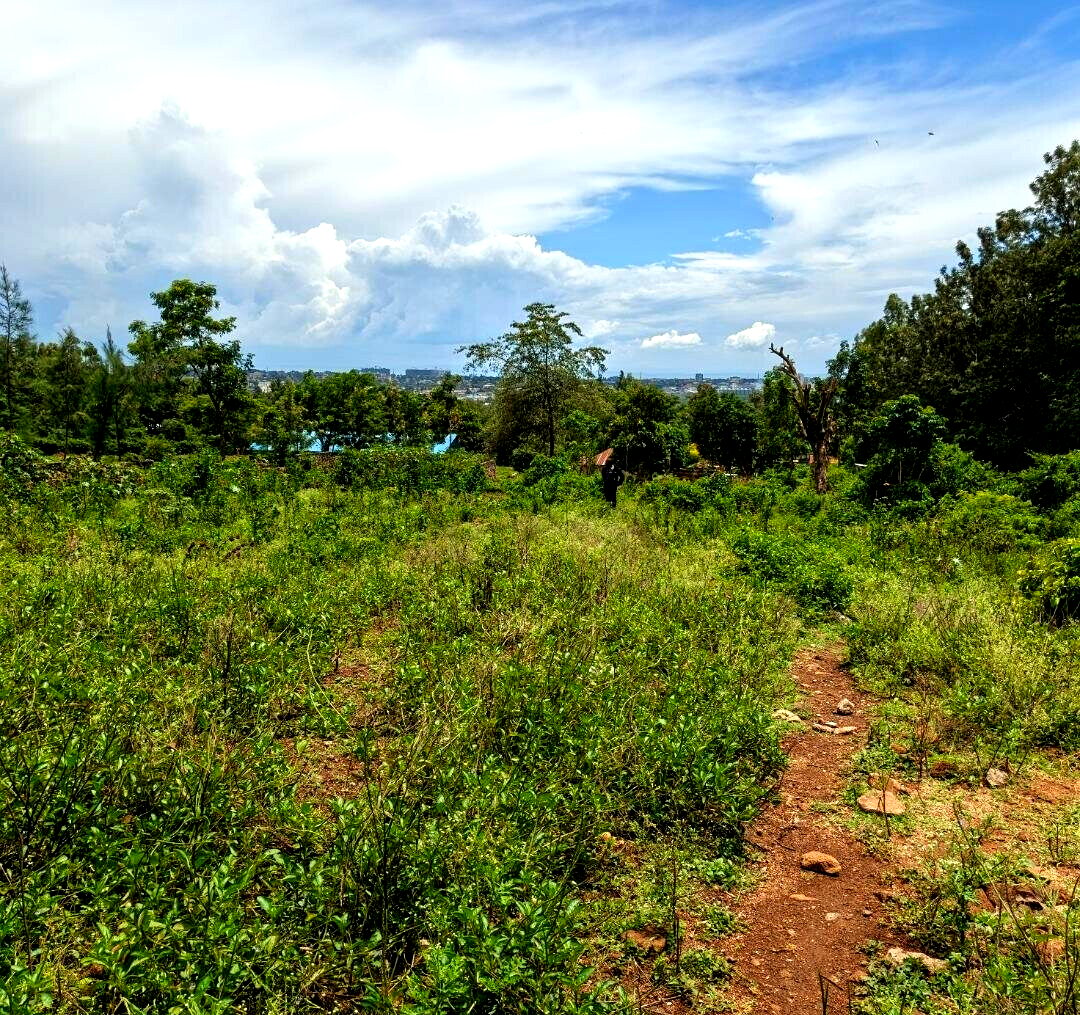 KSh 2.6M Plot in Kisumu West