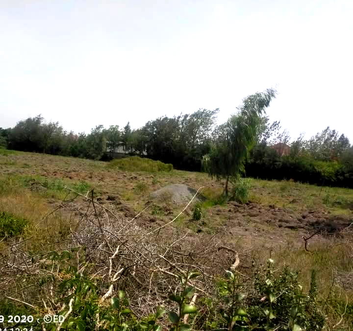 5-Acre Plot at KSh 60M