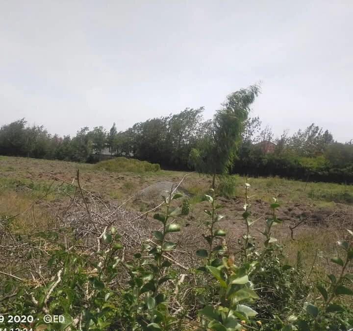 5-Acre Plot at KSh 60M