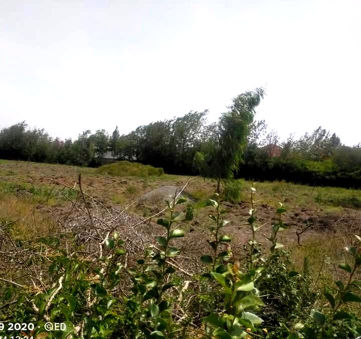 5-Acre Plot at KSh 60M