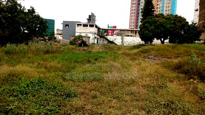 Pangani 1.07 Acres Very Prime Location. - Image 3